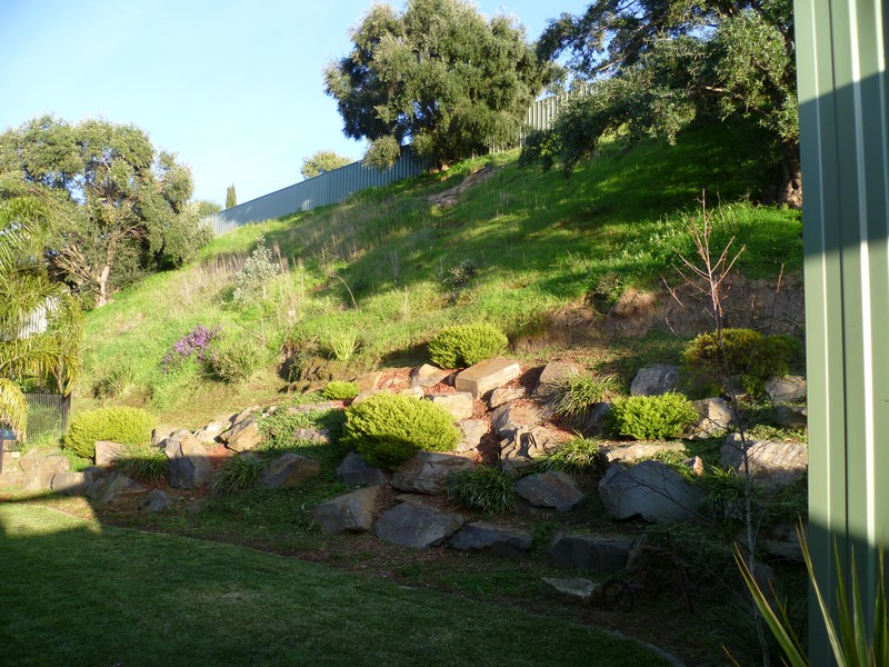 "A New Beginning!!!!!!!!!!"